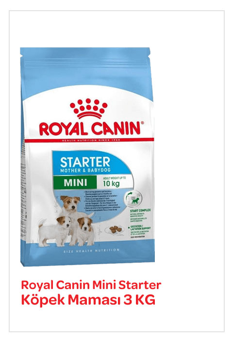 Royal-Canin-Mini-Starter-Köpek-Maması-3-KG.jpg (48 KB)