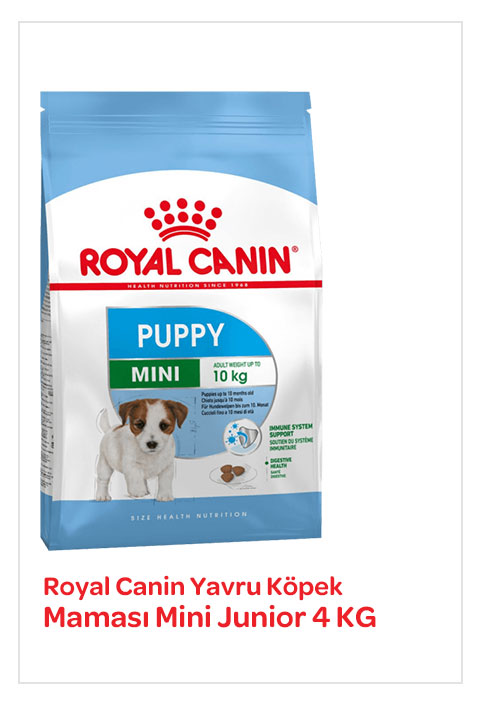 Royal-Canin-Yavru-Köpek-Maması-Mini-Junior-4-KG.jpg (50 KB)