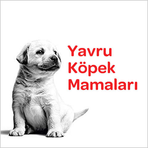 yavru-kopek-mamasi-4.jpg (28 KB)