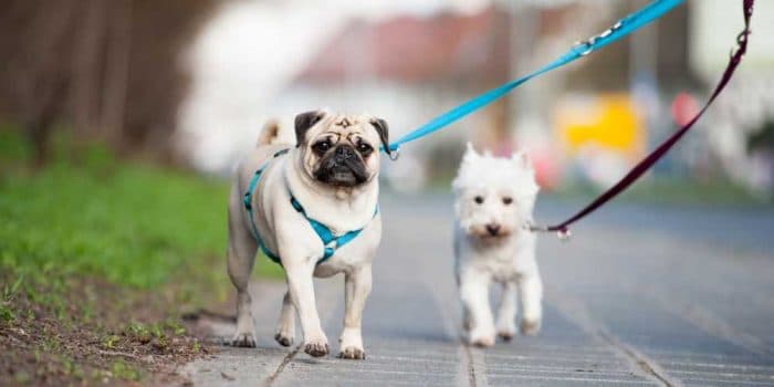 Qanday qilib ozingizga tasma yasashingiz mumkin