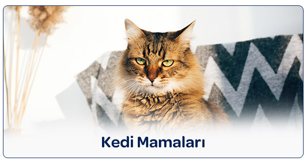 bozita-kedi-mamaları4.jpg (54 KB)