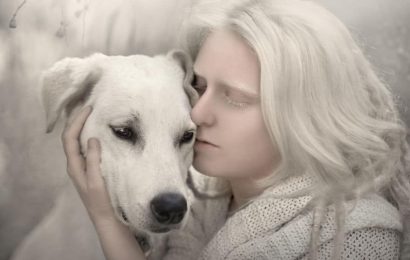 Albino Köpeklerin Bakımı