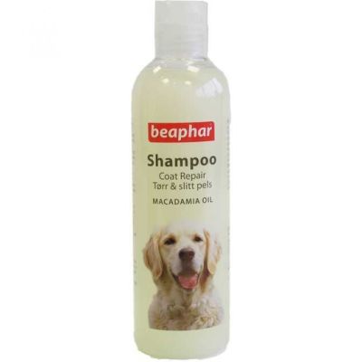 Beaphar Parlak Tüyler İçin Köpek Şampuanı 250 ML