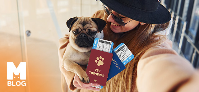 Evcil Hayvan Pasaportu Nedir?