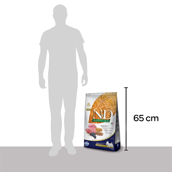 Nd Dusuk Tahilli Kuzu Etli Kucuk Irk Yavru Kopek Mamasi 7 Kg Markamama Com Tr Nd Dusuk Tahilli Kuzu Etli Kucuk Irk Yavru Kopek Mamasi 7 Kg Markamama Com Tr