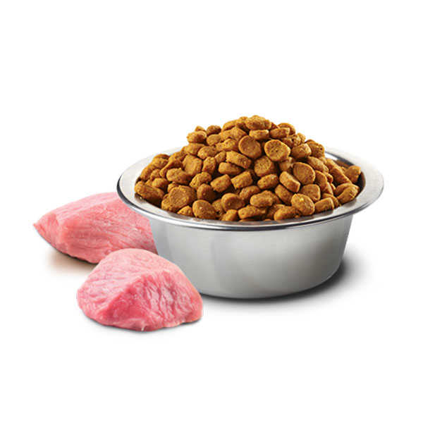 ND Tahılsız Bal Kabağı Kuzu Etli Köpek Maması 12 KG