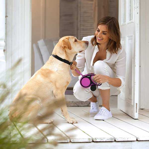 Flexi New Comfort Serit Kedi Ve Kopek Gezdirme Tasmasi Xs 3m Markamama Com Tr