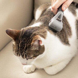 Furminator Ayarlanabilir Kıtık Açıcı Kedi Ve Köpek Tarağı - Thumbnail