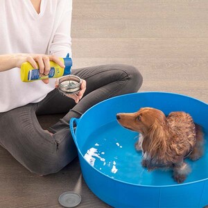 Furminator Kedi Ve Köpek Banyo Fırçası Şampuan Hazneli - Thumbnail
