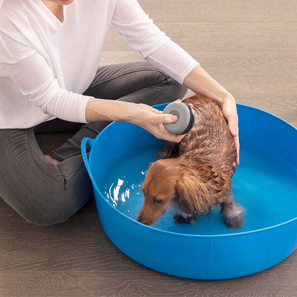 Furminator Kedi Ve Köpek Banyo Fırçası Şampuan Hazneli