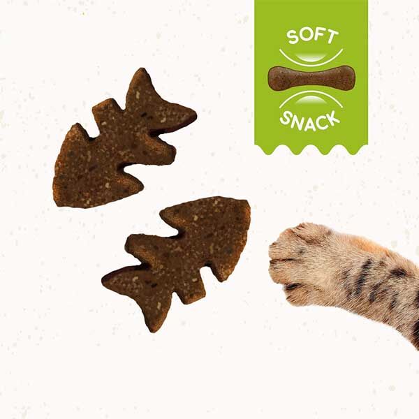 Gimcat Crunchy Snacks Somon ve Ahududulu Tahılsız Kedi Ödülü 50 gr