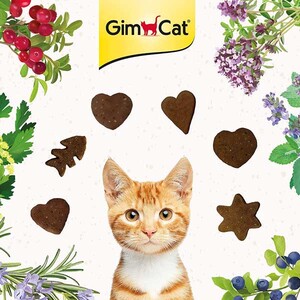 Gimcat Crunchy Snacks Somon ve Ahududulu Tahılsız Kedi Ödülü 50 gr - Thumbnail