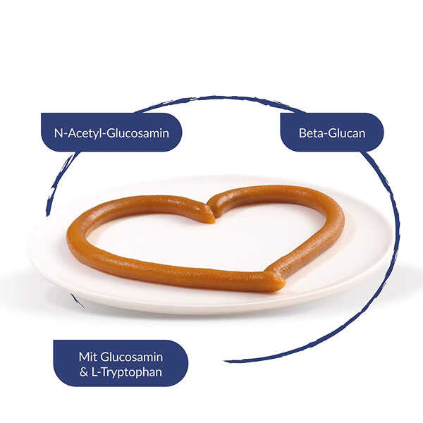 Gimcat Kedi Macunu UT Balance Paste 50gr