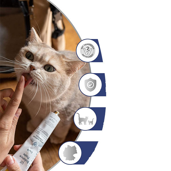 Gimcat İdrar Yolu Sağlığı Kedi Maltı 50 gr
