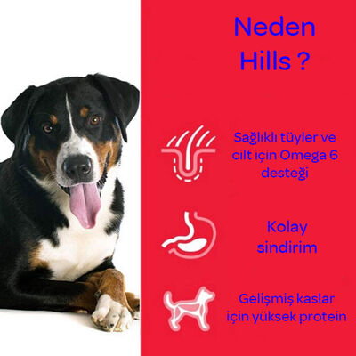 Hills Orta Irk Yaşlı Köpek Maması 14 KG