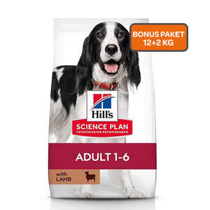 Hill's SCIENCE PLAN Kuzulu Orta Irk Yetişkin Köpek Maması 12kg + 2kg HEDİYE! - Thumbnail