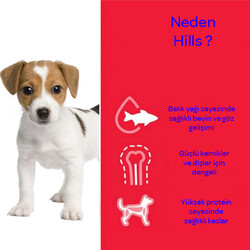 Hills Küçük Irk Tavuklu Köpek Maması 3 KG - Thumbnail
