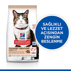 Hill's SCIENCE PLAN Gurme Lezzet Somonlu ve Havuçlu Yetişkin Kedi Maması 10kg - Thumbnail