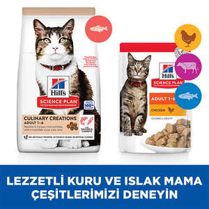 Hill's SCIENCE PLAN Gurme Lezzet Somonlu ve Havuçlu Yetişkin Kedi Maması 10kg - Thumbnail