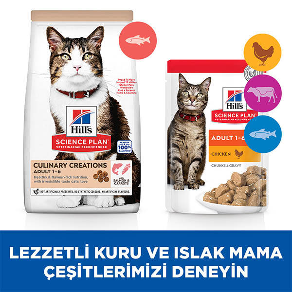 Hill's SCIENCE PLAN Gurme Lezzet Somonlu ve Havuçlu Yetişkin Kedi Maması 10kg