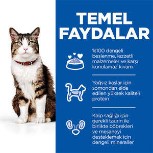 Hill's SCIENCE PLAN Gurme Lezzet Somonlu ve Havuçlu Yetişkin Kedi Maması 1,5kg - Thumbnail