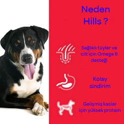 Hill's SCIENCE PLAN Tahılsız Tavuklu Büyük Irk Yetişkin Köpek Maması 12 kg - Thumbnail