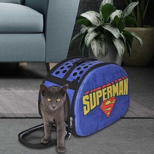 Süperman 3D Eva Kedi ve Köpek Taşıma Çantası Mavi - Thumbnail