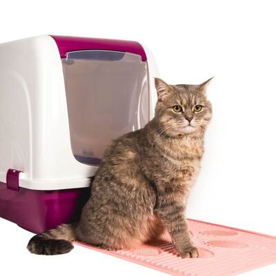 Markamama Büyük Kapalı Kedi Tuvaleti Kedi Kumu Küreği Hediyeli