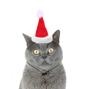 Markamama Kedi Yılbaşı Şapkası - Thumbnail