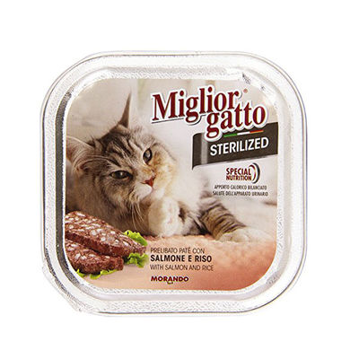 Miglior Gatto Somon ve Pirinçli Kısırlaştırılmış Kedi Konservesi 100 Gr