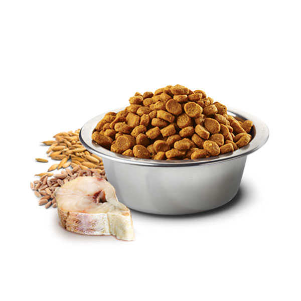 ND Düşük Tahıllı Ocean Morina Balıklı Portakallı Köpek Maması 12 KG