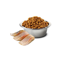 N&D Ocean Tahılsız Ringa Balığı Ve Portakallı Kısırlaştırılmış Kedi Maması 5 KG - Thumbnail