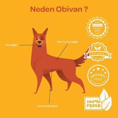 Obivan Kurutulmuş Kıkırdak Köpek Ödülü 100 GR