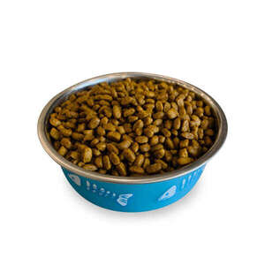 Obivan Selection Delicate Düşük Tahıllı Kuzu Etli Yetişkin Kedi Maması 1 kg (10 adet) - Thumbnail