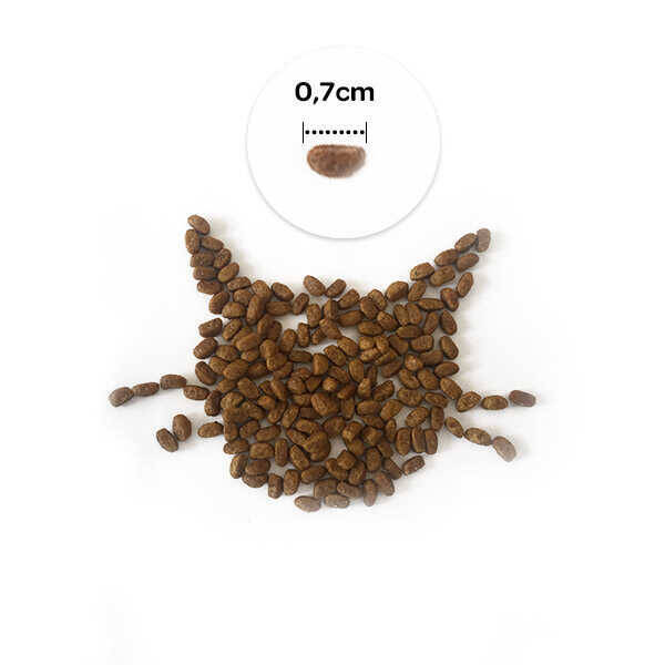 Obivan Selection Delicate Düşük Tahıllı Kuzu Etli Yetişkin Kedi Maması 1 kg (10 adet)