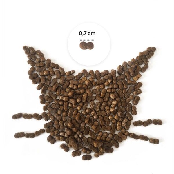 Obivan Selection Kuzu Etli Yavru Kedi Maması 1 KG x 20 Adet Yavru