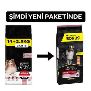 Pro Plan Sensitive Skin Somonlu Yetişkin Köpek Maması 16,5 kg - Thumbnail