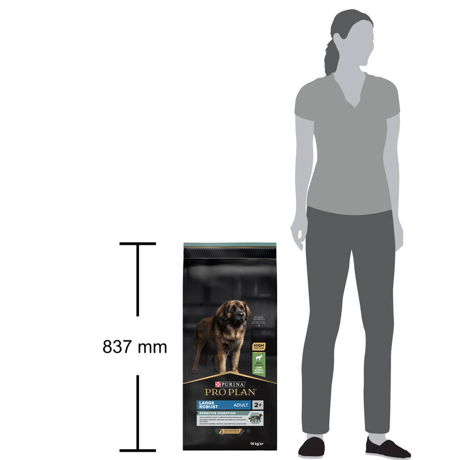 Pro Plan Large Robust Kuzu Etli Büyük Irk Yetişkin Köpek Maması 14 kg