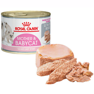 Royal Canin BabyCat Instinctive Yavru Kedi Maması 195 Gr X 12 Adet - Thumbnail