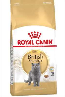 Royal Canin British Shorthair Kedi Maması 10 KG