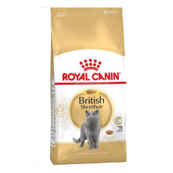 Royal Canin British Shorthair Kedi Maması 2 KG - Thumbnail