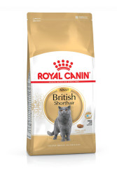 Royal Canin British Shorthair Kedi Maması 4 KG - Thumbnail