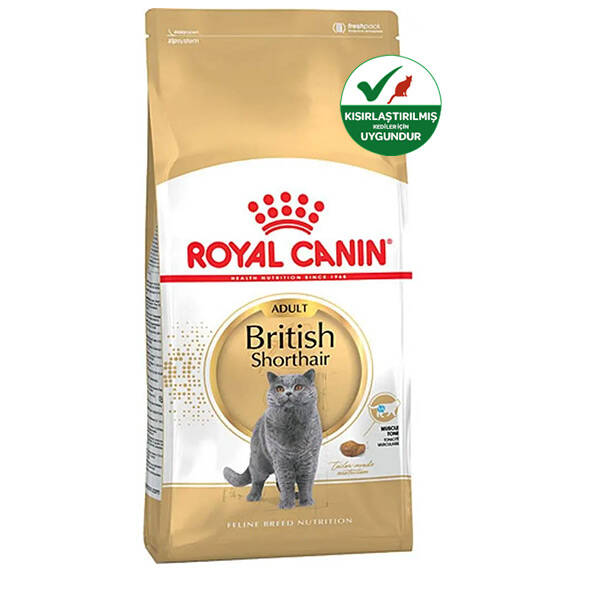 Royal Canin British Shorthair Kedi Maması 4 KG