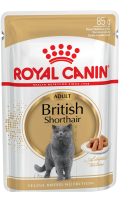 Royal Canin British Shorthair Yaş Kedi Maması 85 GR