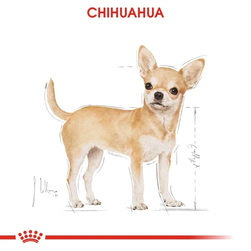Royal Canin Chihuahua Yaş Maması 85 gr*12 Adet - Thumbnail