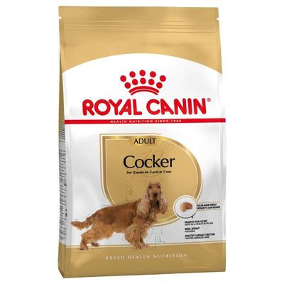 Royal Canin Cocker Köpek Maması 3 KG
