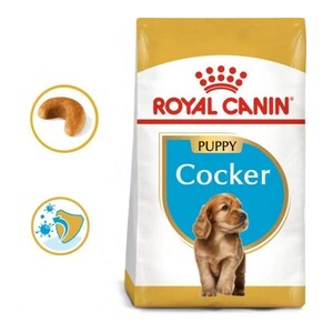 Royal Canin Cocker Yavru Köpek Maması 3 KG - Thumbnail