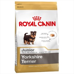 Royal Canin Junior Yorkshire Terrier Yavru Köpek Maması 1,5 KG - Thumbnail