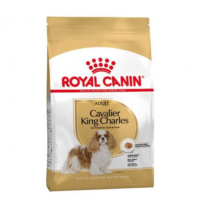 Royal Canin King Charles Kopek Mamasi 1 5 Kg Markamama Com Tr