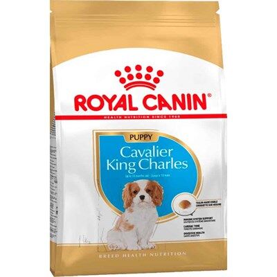 Royal Canin King Charles Yavru Köpek Maması 1,5 KG